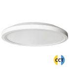 Plafón Led de superficie con  botón de selección de tonalidad  50W  Ø 500mm. (F-Bright 2801576)